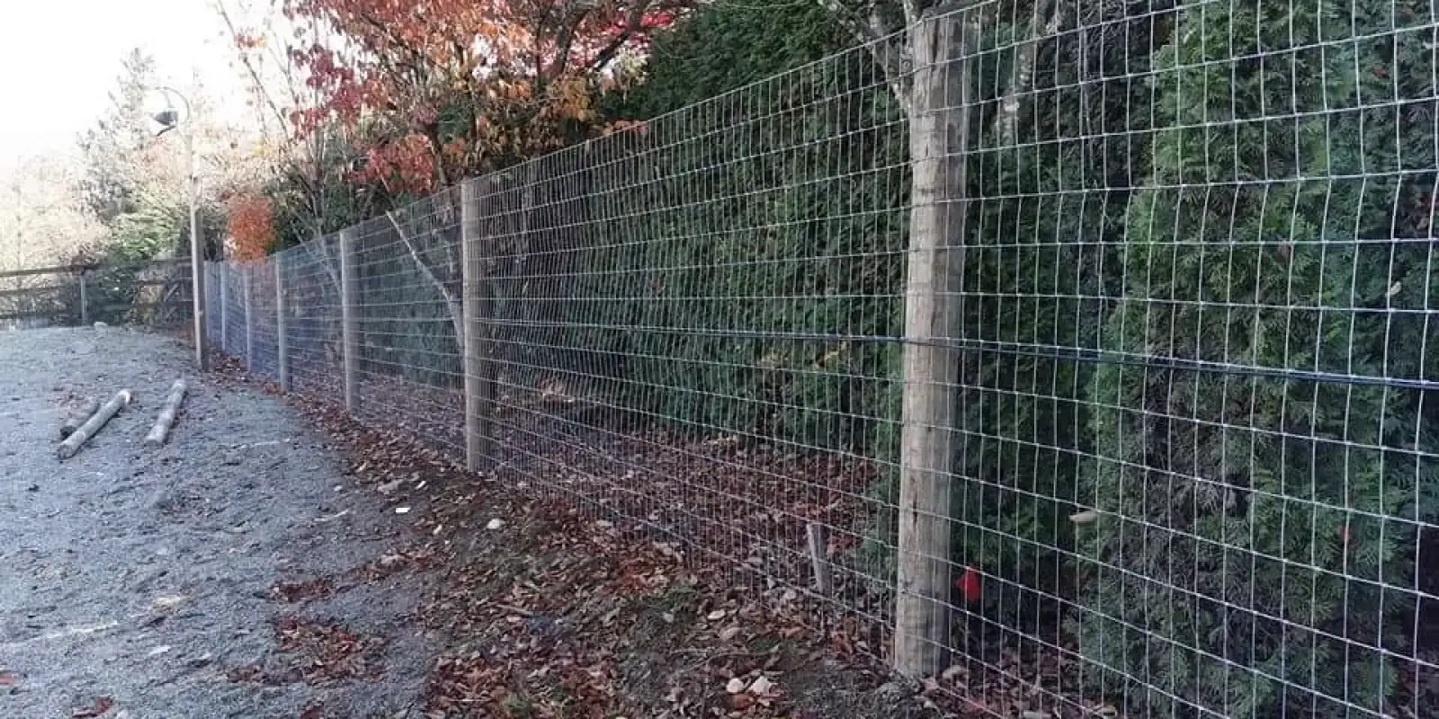 Property Boundary Fence