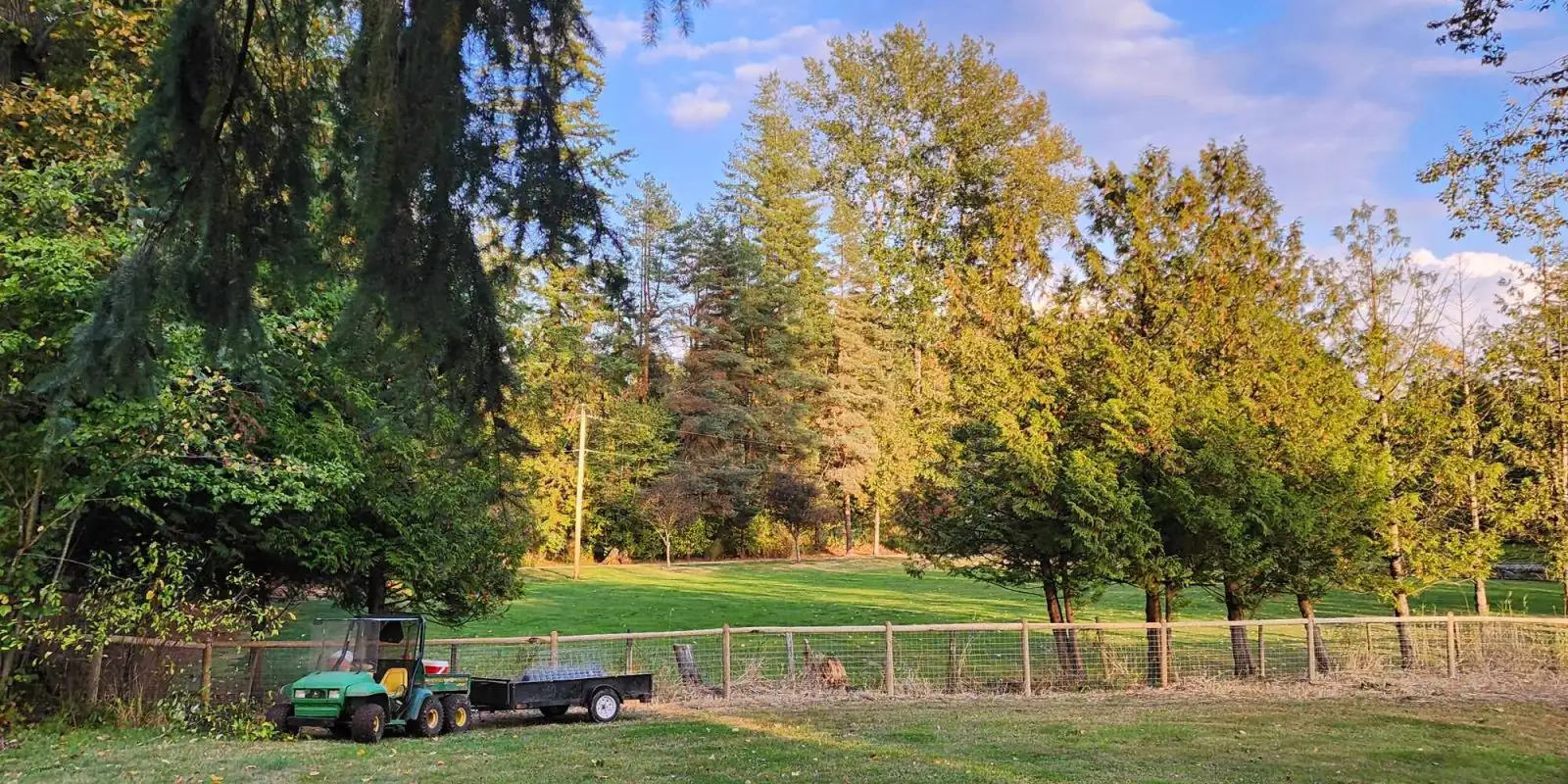 Acreage Fence Line
