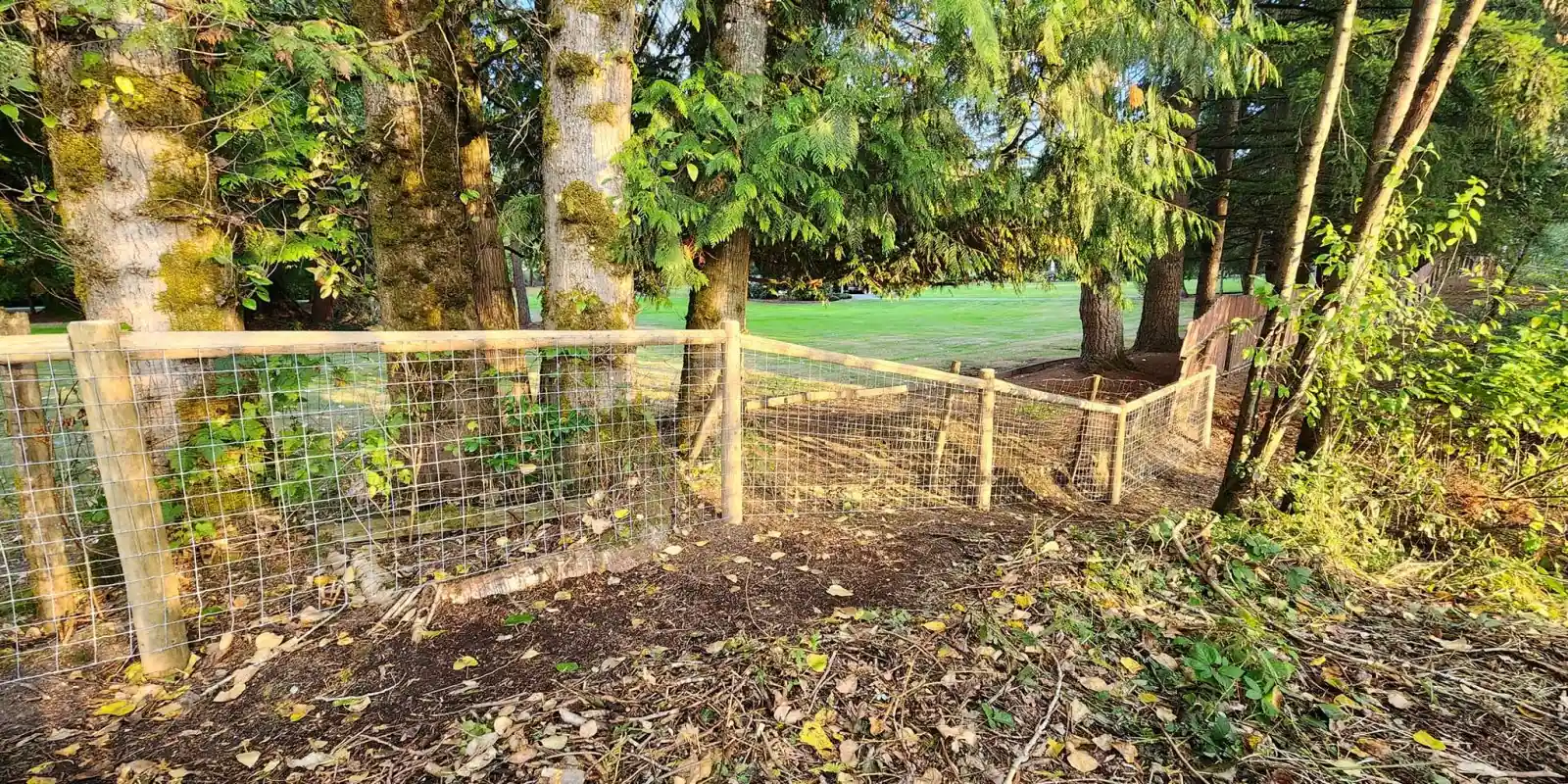 Acreage Wire Fence