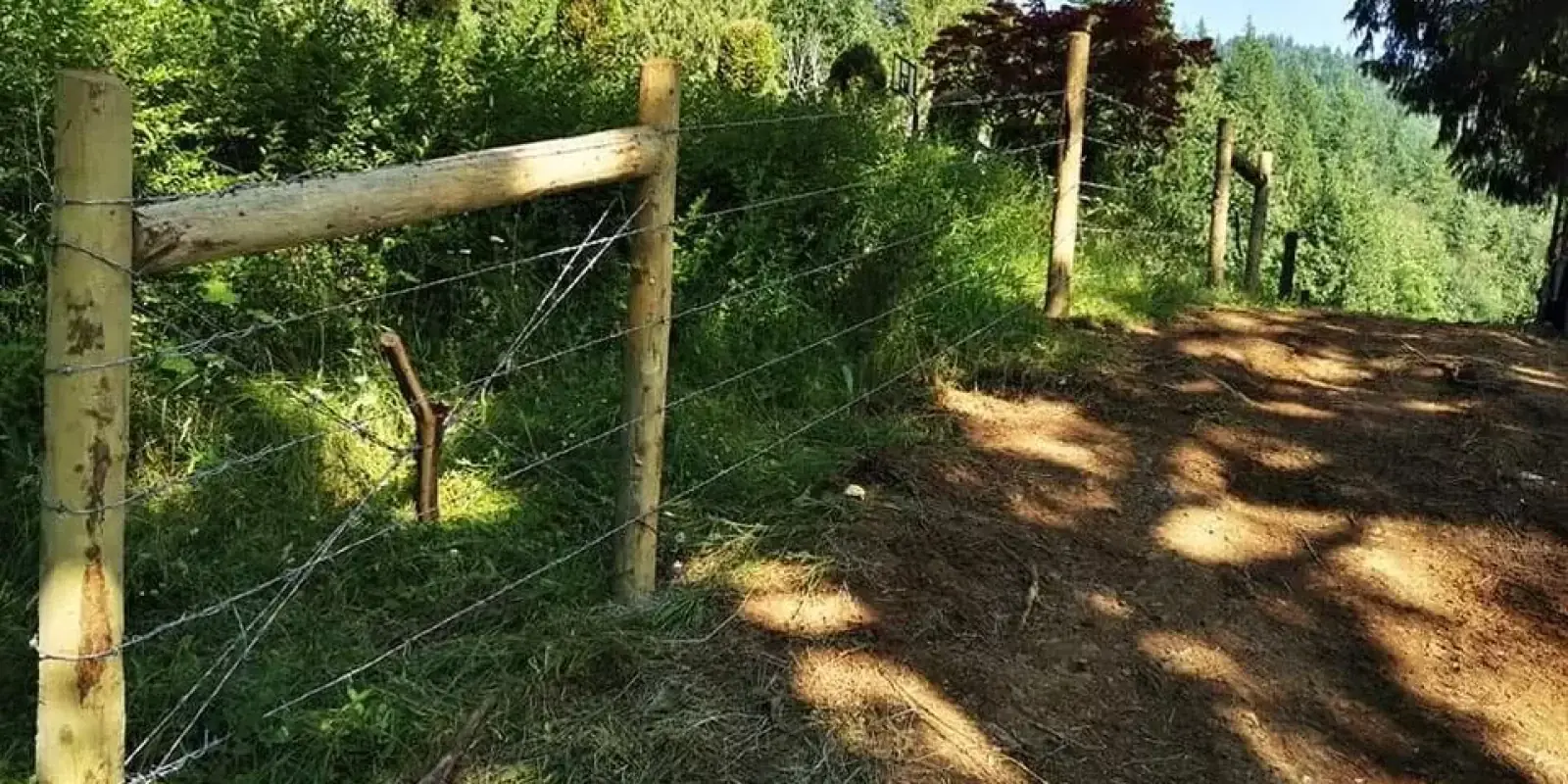 Hillside Farm Fence