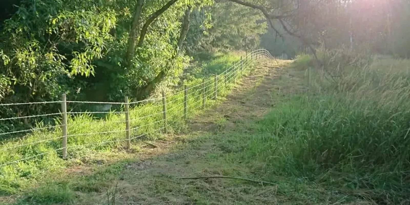 Farm Perimeter Fence